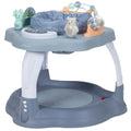 Activity Center and Jumper P209220