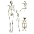 5.4FT Full Size Posable Skeleton with Movable Joints S371229