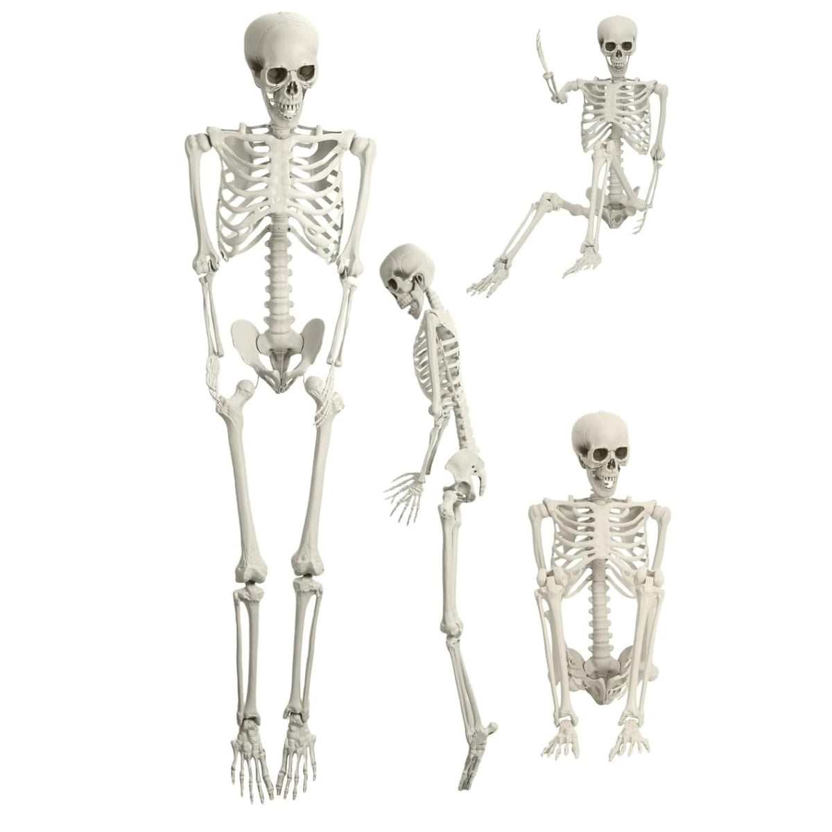 5.4FT Full Size Posable Skeleton with Movable Joints S371229