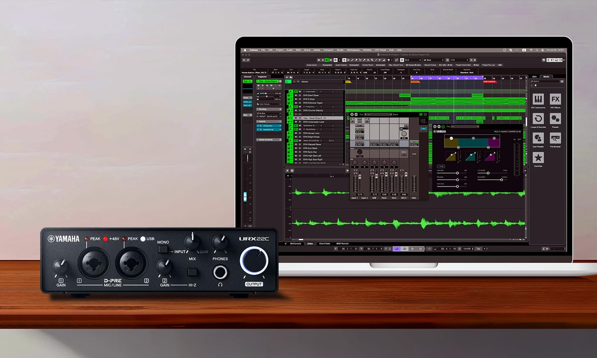 2-in/2-out USB-C Audio/MIDI Interface with 32-bit/192kHz Support, Black Y31012