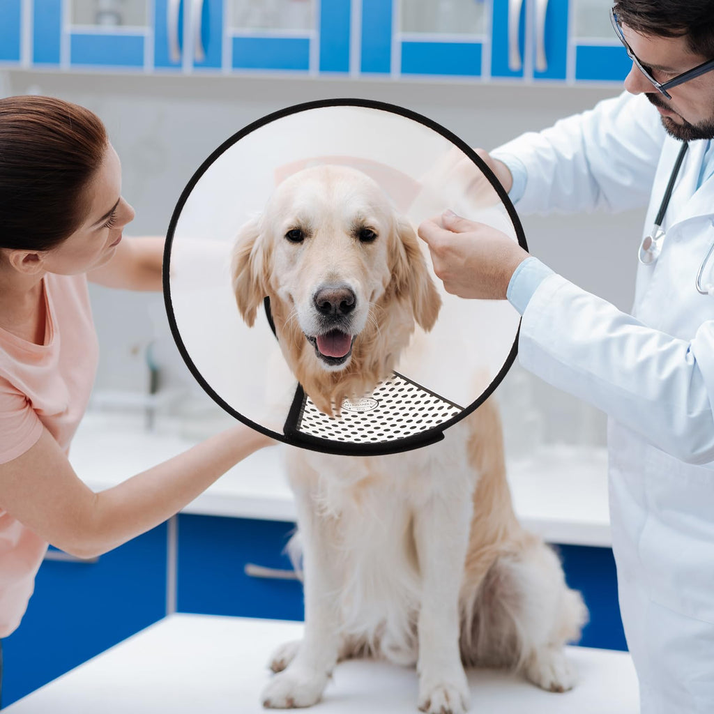 9 Pcs Adjustable Soft Dog Cone Collar Set Q361