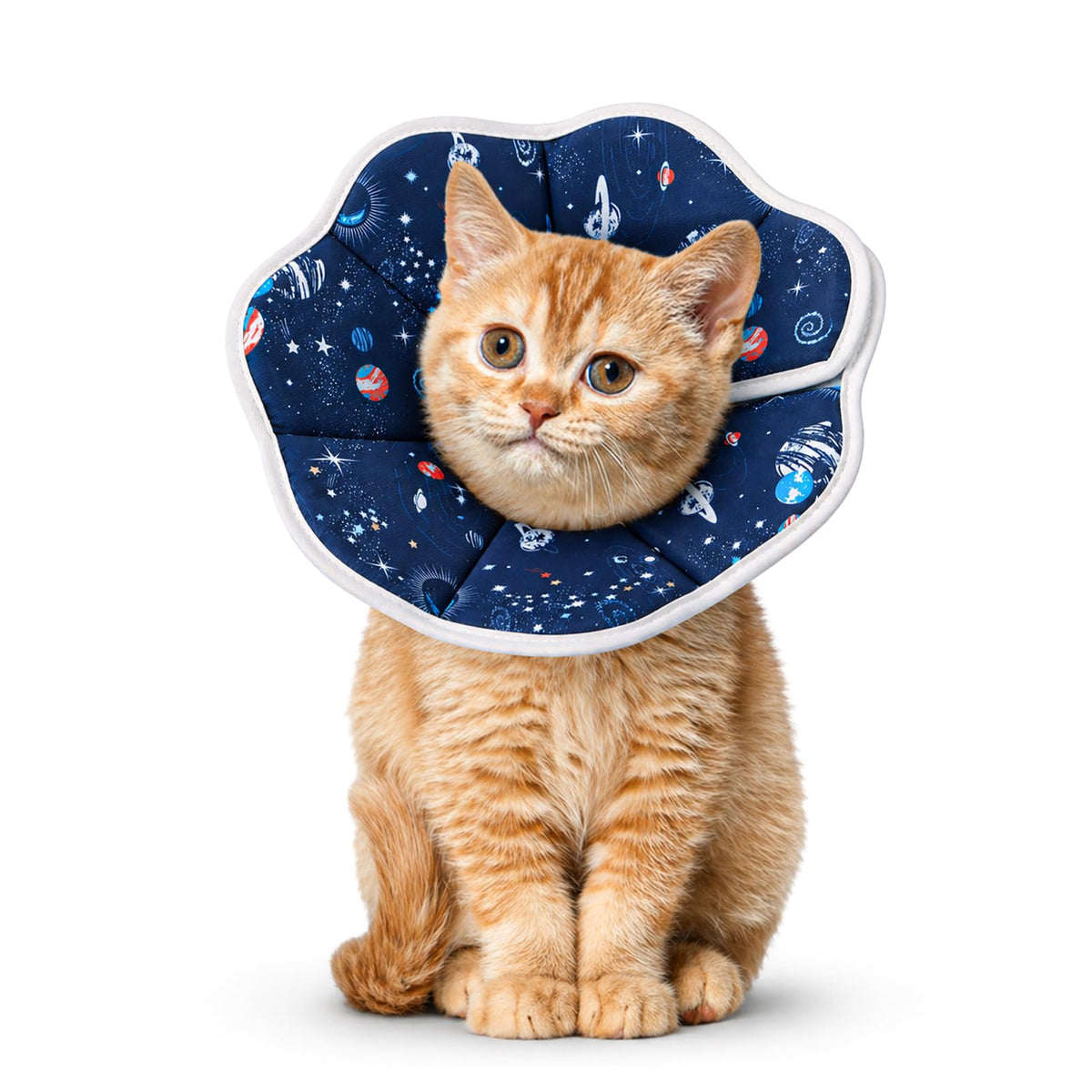 Soft Cat Recovery Cone Collar for Small Medium Cats M4040