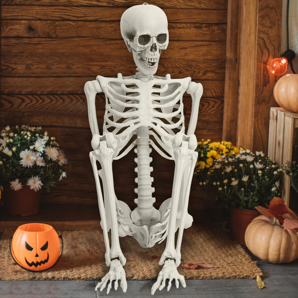 5.4FT Full Size Posable Skeleton with Movable Joints S371229