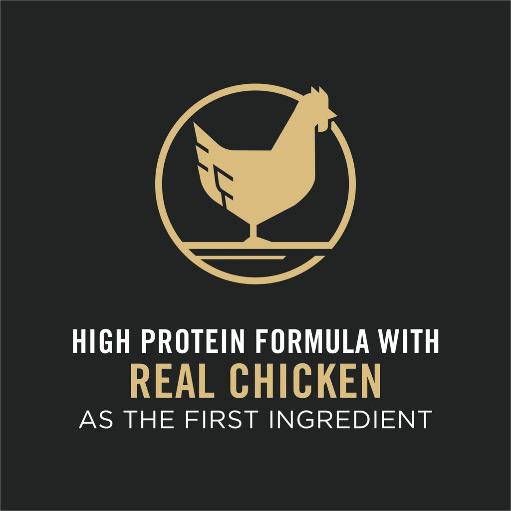 High Protein Chicken & Rice Dog Food I919