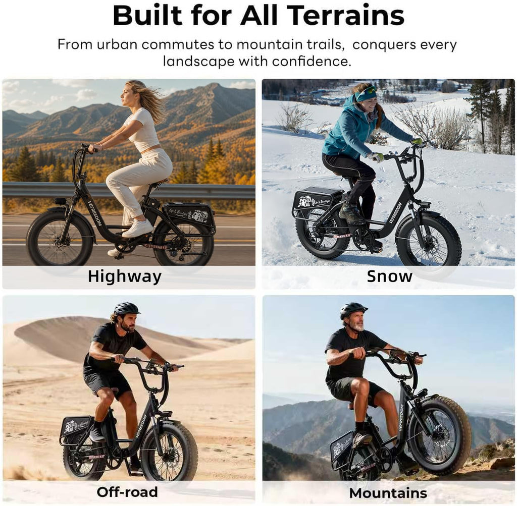 Electric Bike with 1500W Motor 48V 20Ah Battery 20" Fat Tire 7-Speed Q929404