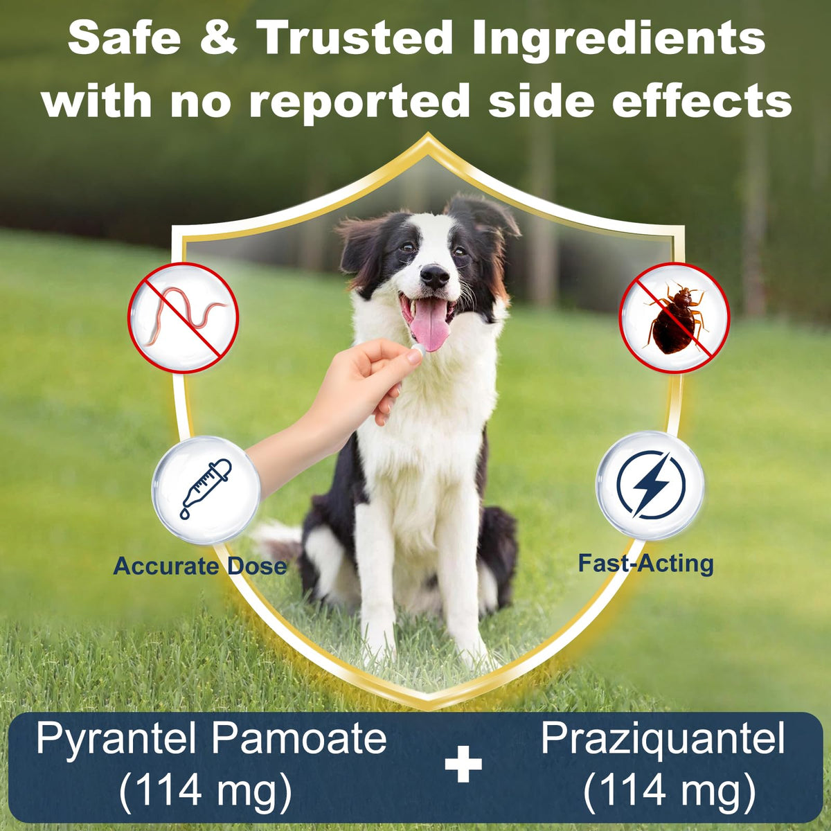 7-Way Dewormer for Dogs, 30 Tablets J48259