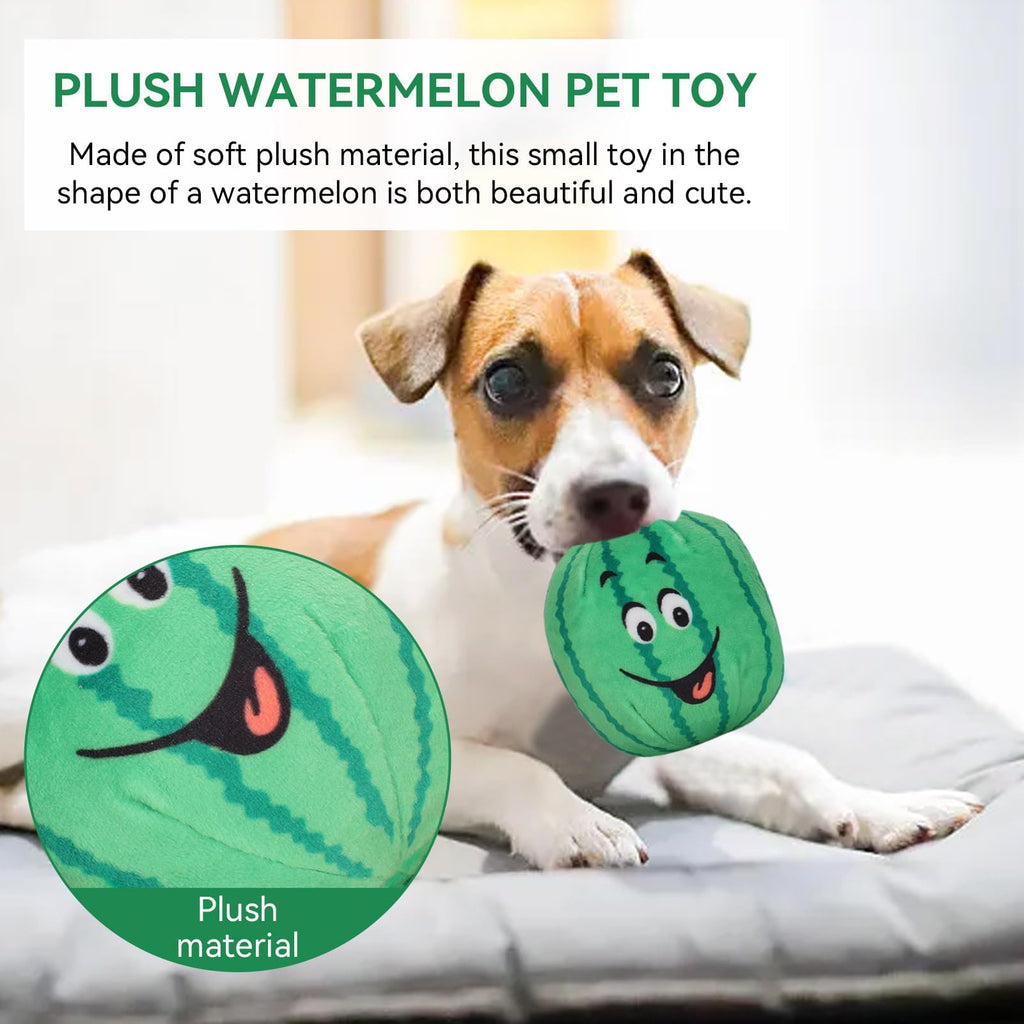 4Pcs Squeaky Plush Dog Toys G292505