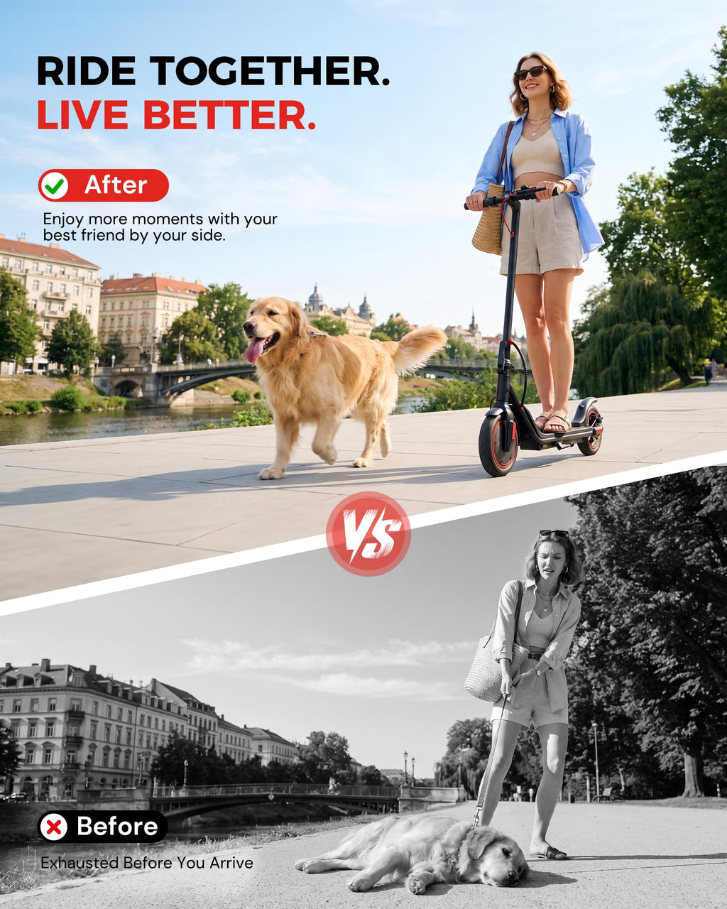 Electric Scooter B127275
