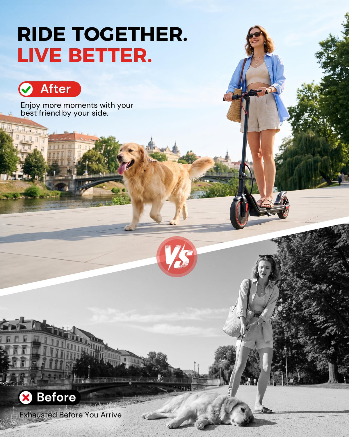 Electric Scooter B127275