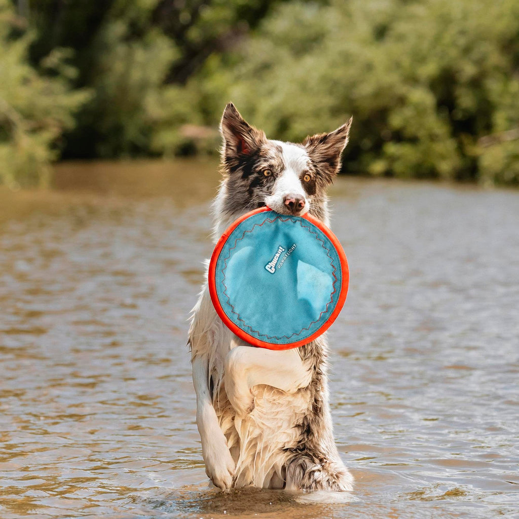 Flying Disc Dog Toy Large F96133