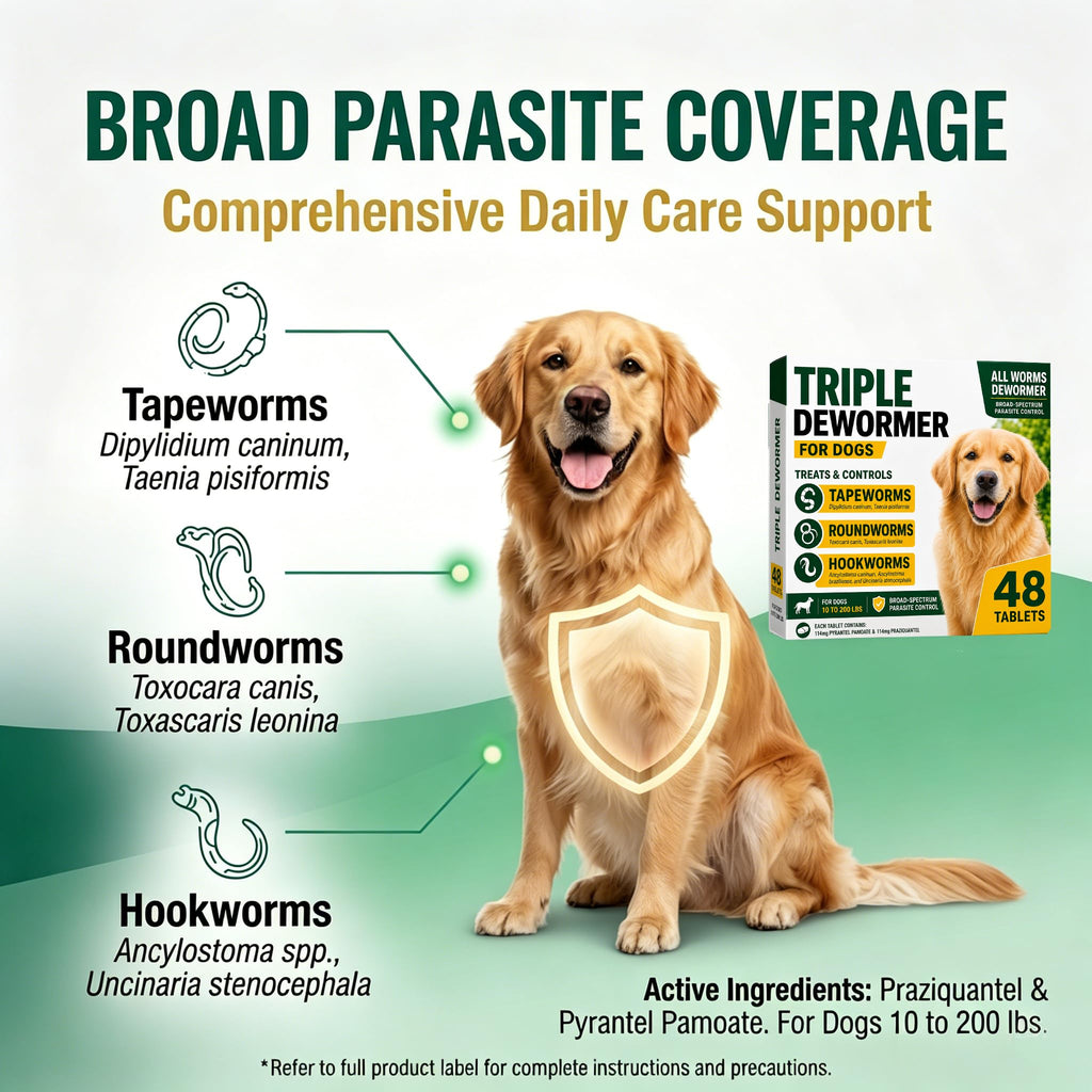 Pyrantel Pamoate and Praziquantel Dog Dewormer Tablet - 48 Tablets K583654