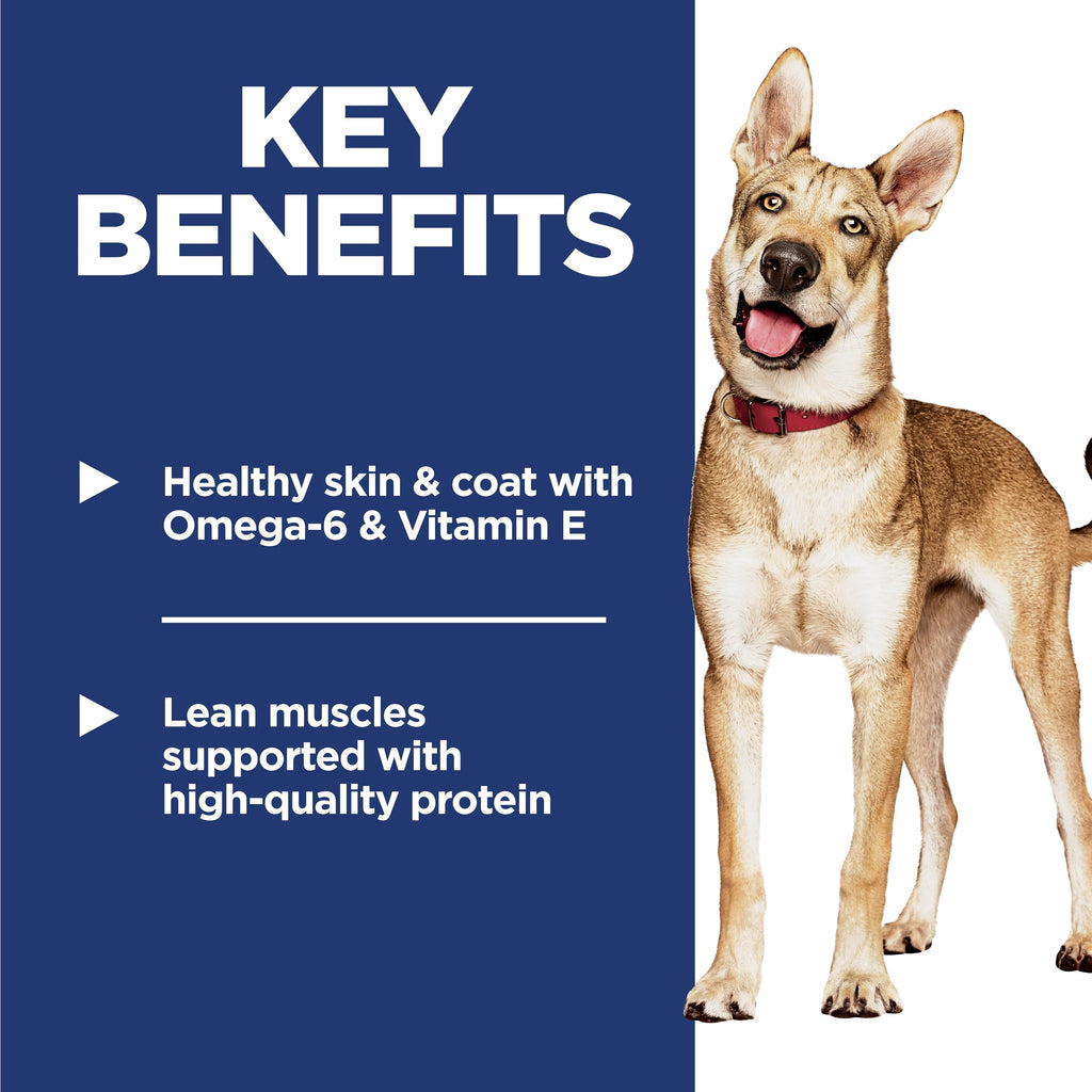 Dry Dog Food I89594