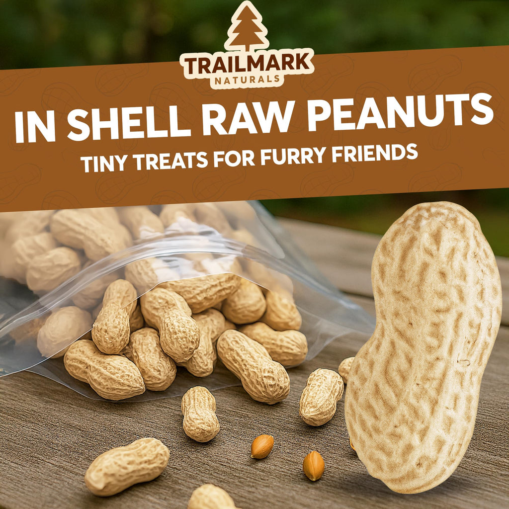 Raw In Shell Peanuts F569