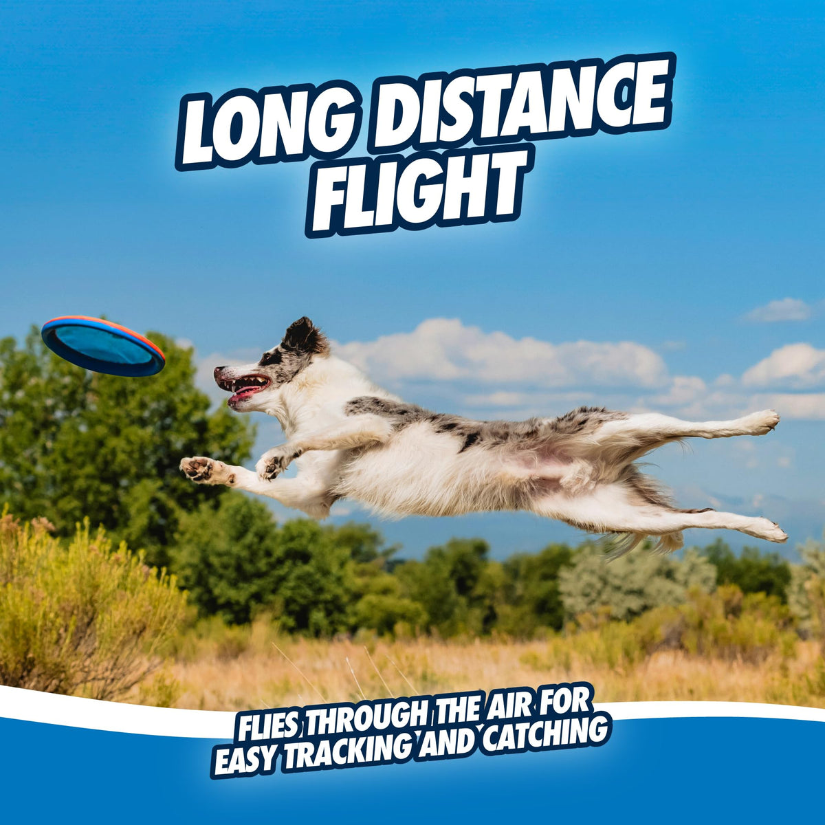 Flying Disc Dog Toy Large F96133