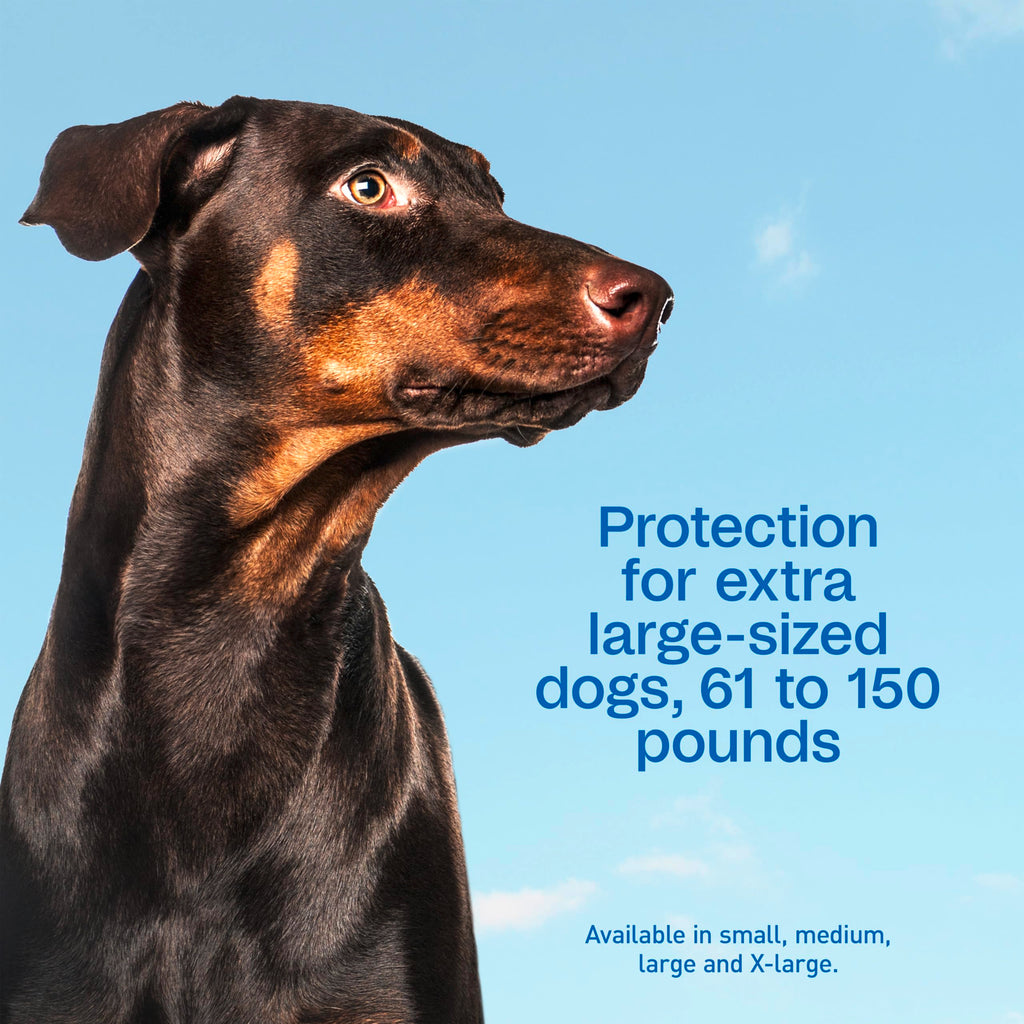 Flea & Tick Prevention Spot On 3 Pack R41902
