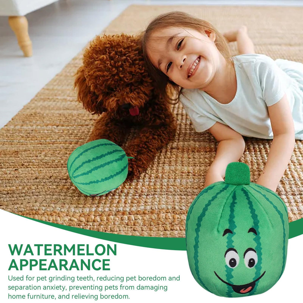 4Pcs Squeaky Plush Dog Toys G292505