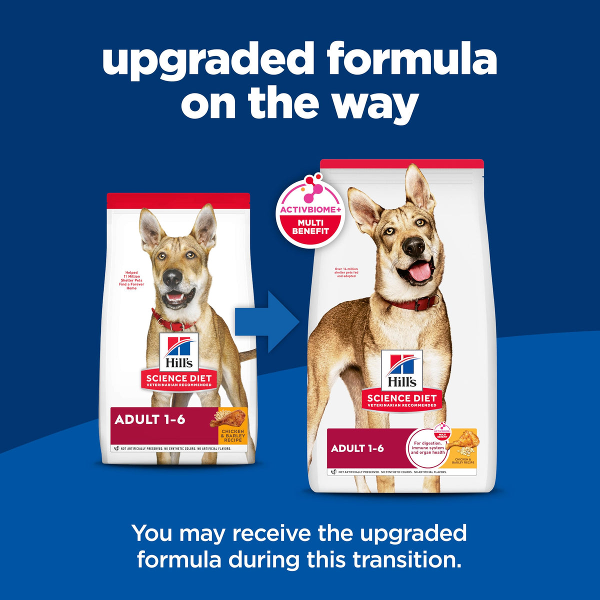 Dry Dog Food I89594