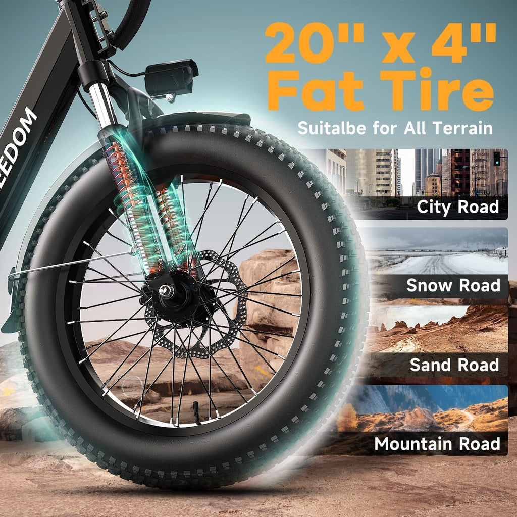 Electric Bike with 1500W Motor 48V 20Ah Battery 20" Fat Tire 7-Speed Q929404