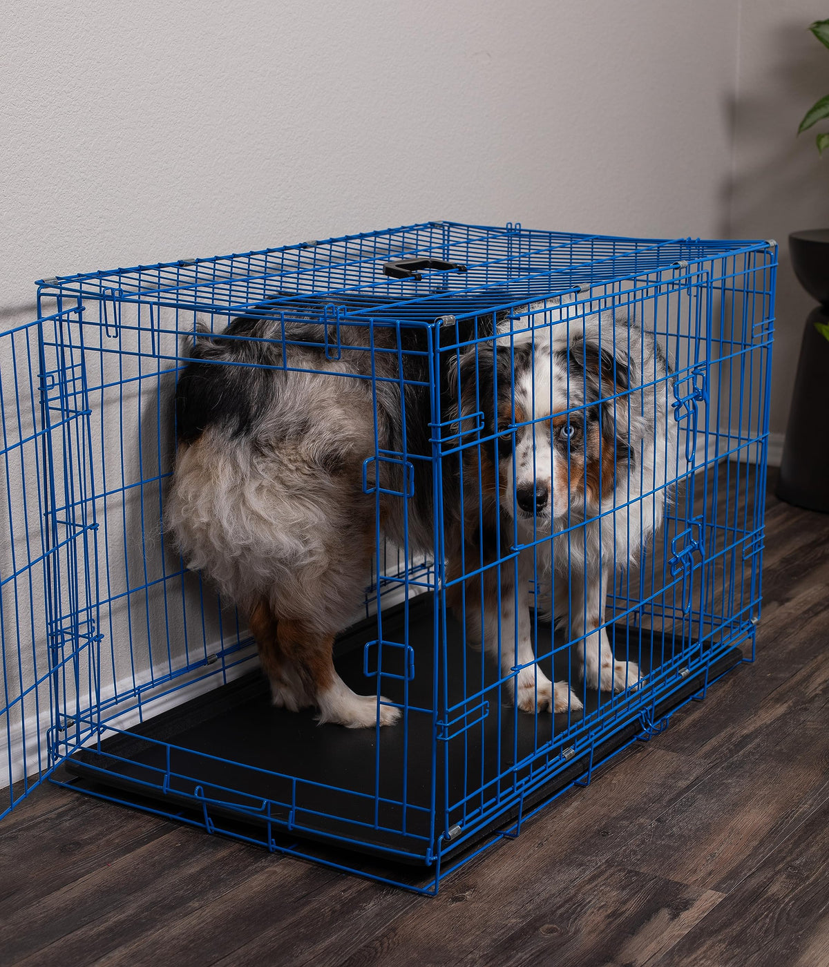 Medium 36 Inches Double Door Metal Steel Dog Kennel T635988