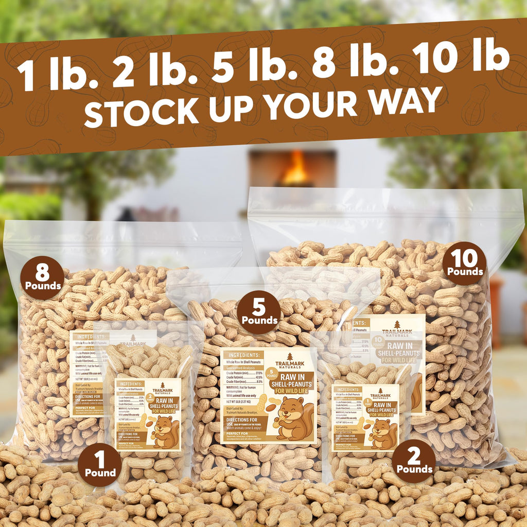 Raw In Shell Peanuts F569