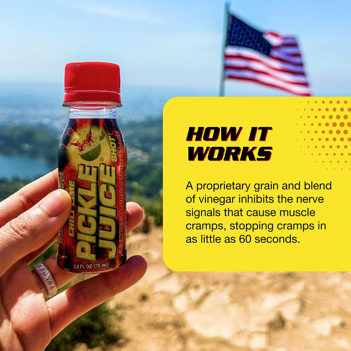 2.5 oz Pickle Juice Shots 24 Pack K2543