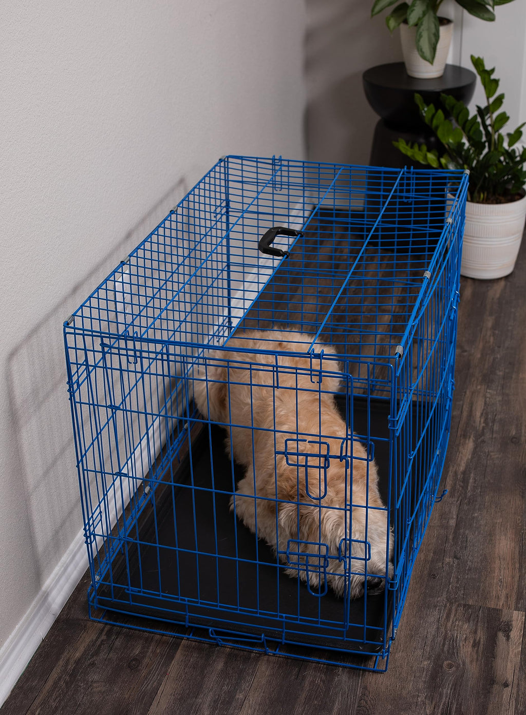 Medium 36 Inches Double Door Metal Steel Dog Kennel T635988