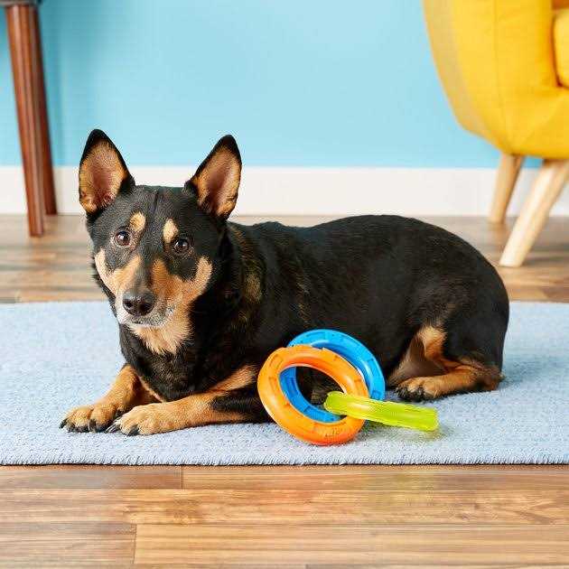 3-Ring Tug Dog Toy E801