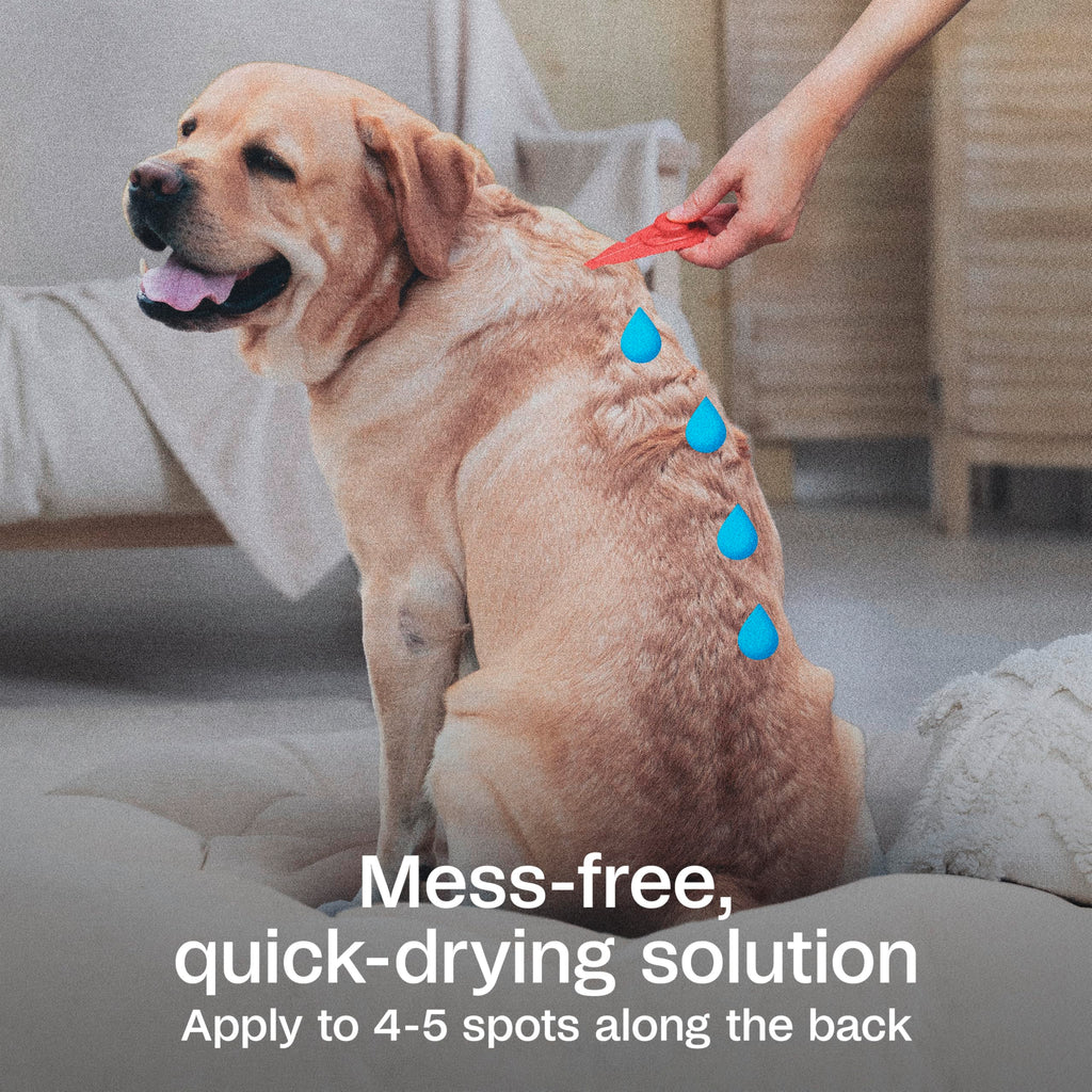 Flea & Tick Prevention Spot On 3 Pack R41902